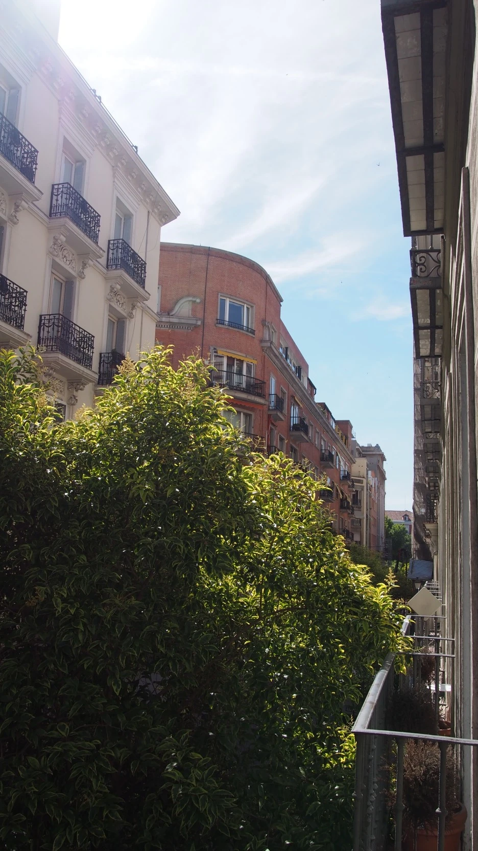 P141025225632.JPG?type=w1