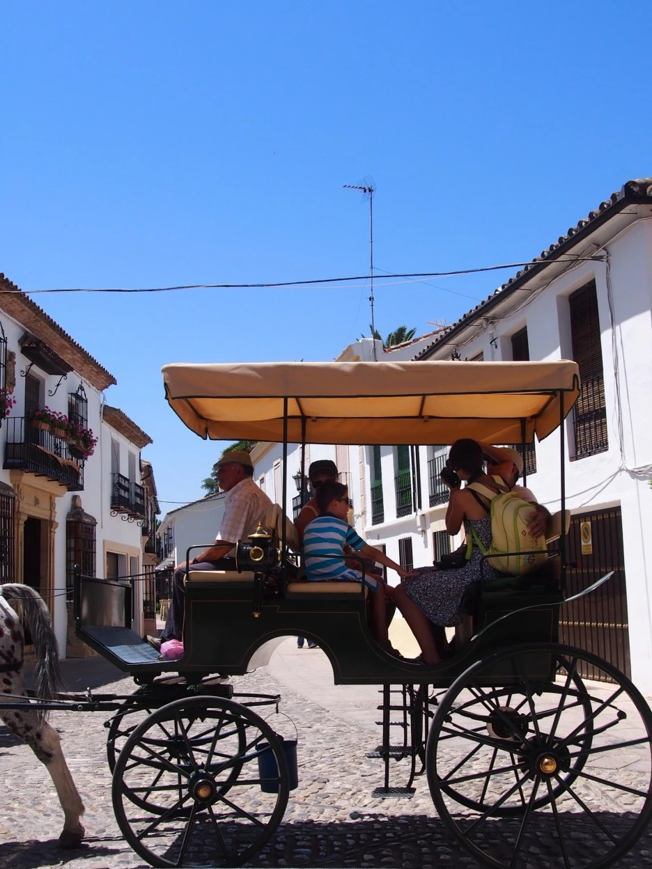 SE-5efe598d-025f-476c-91d0-116c2b5fba7d.jpg?type=w1