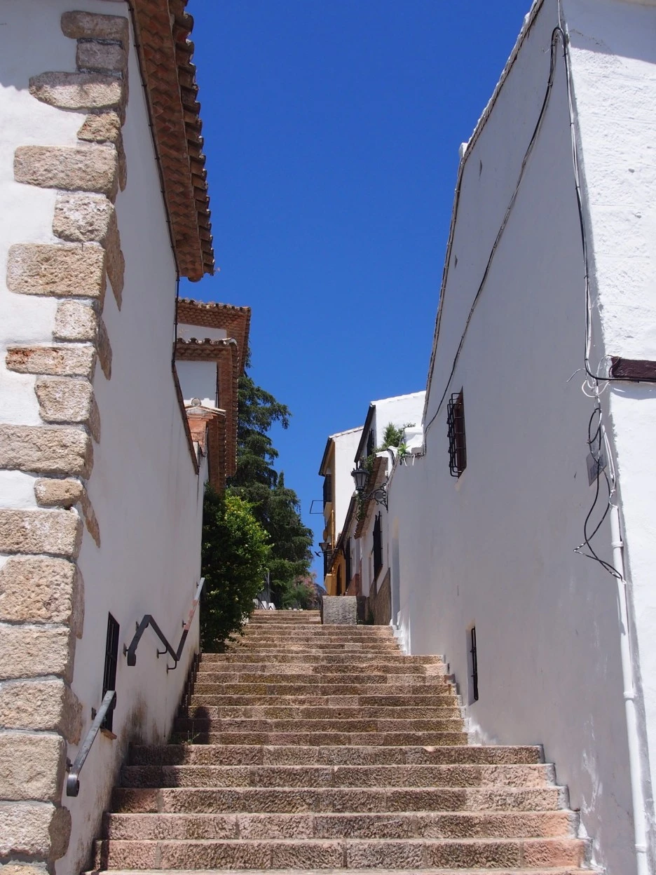 SE-8b3d7b85-11bf-4c3d-beb8-dff9365bfd9c.jpg?type=w1