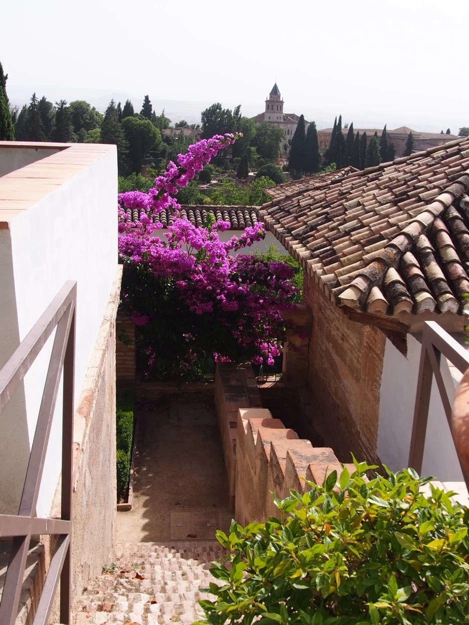 SE-e44fd9f7-d654-4c63-9b8e-970f96878b9b.jpg?type=w1