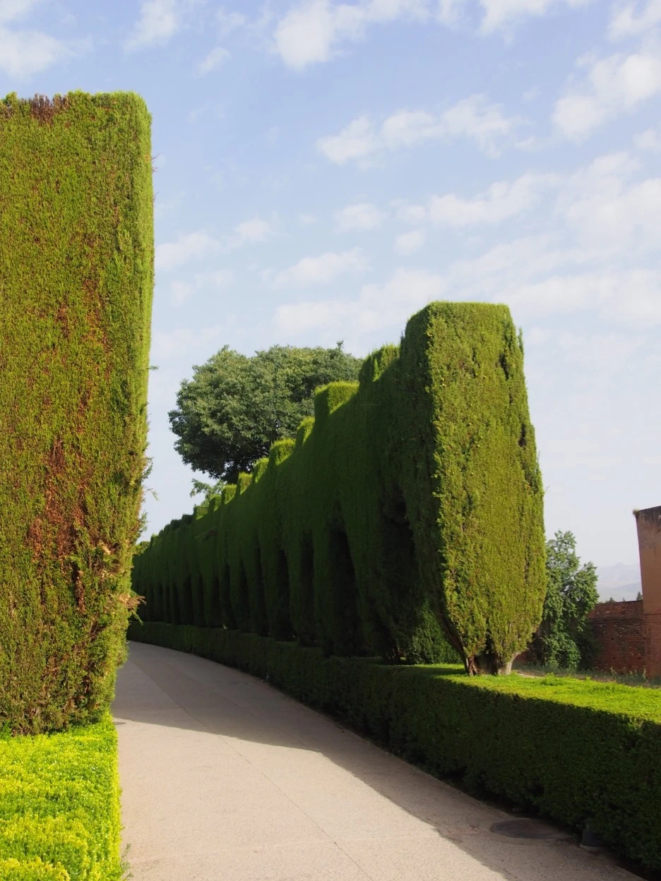 SE-c7fbafb0-1268-4584-92de-7ca40cfccf54.jpg?type=w1