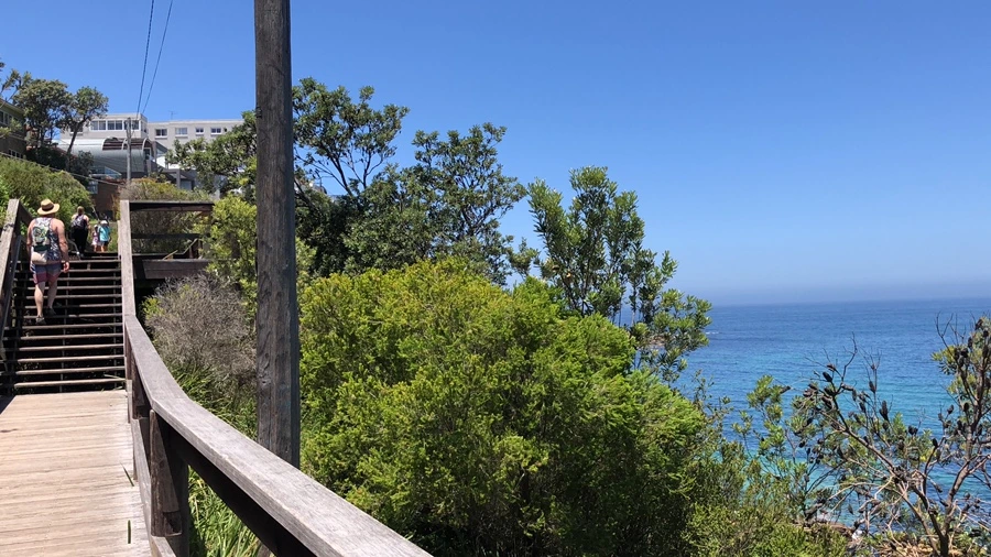 IMG_2515.jpeg?type=w1