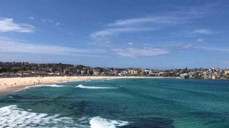 IMG_2060.jpeg?type=w1