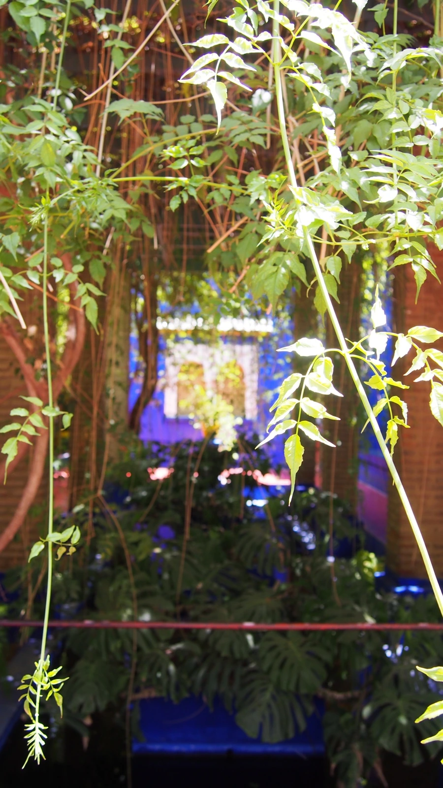 P7222518.jpeg?type=w1