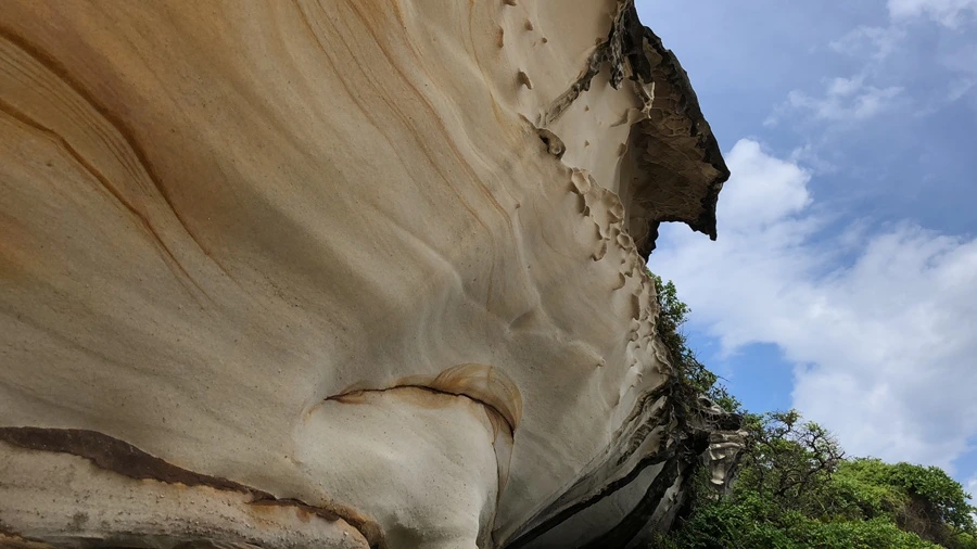 IMG_2217.jpeg?type=w1