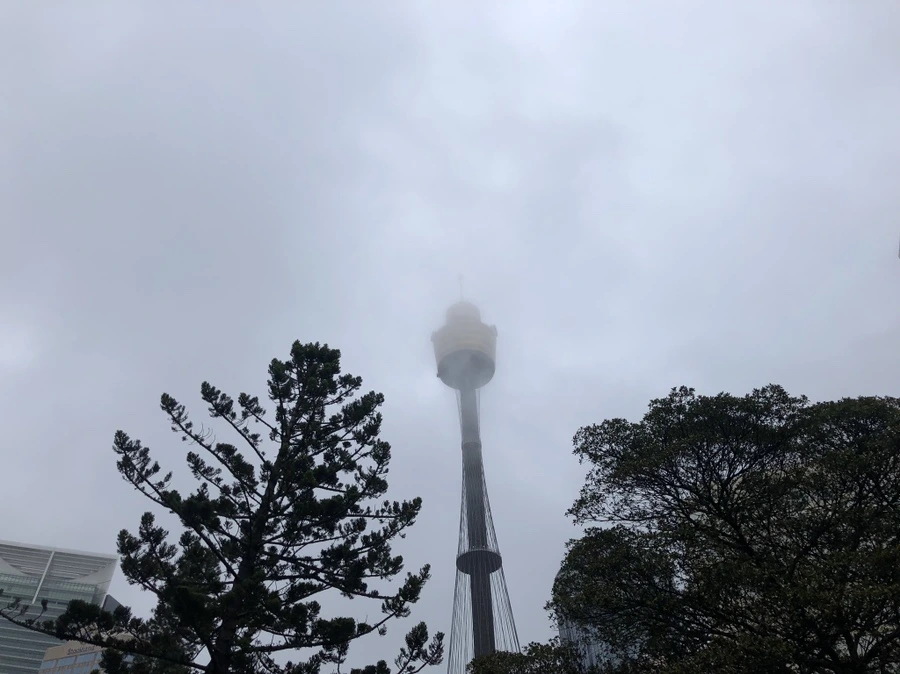 IMG_4389.jpg?type=w1