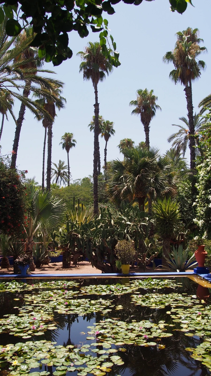 P7222513.jpeg?type=w1