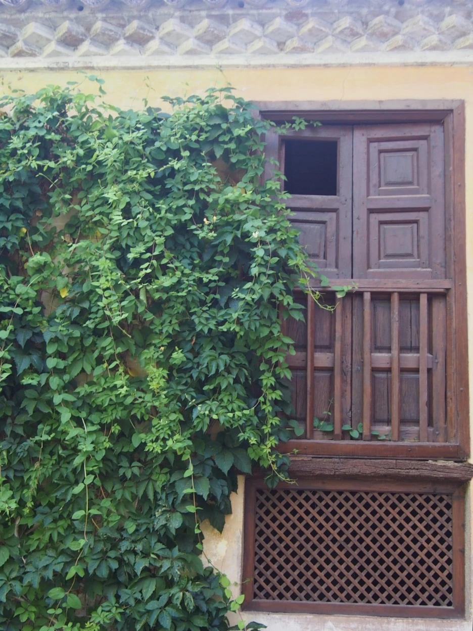 SE-a3360189-0262-4b85-8558-7f79072ca42a.jpg?type=w1