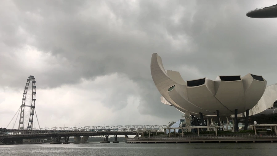 IMG_0166.jpeg?type=w1