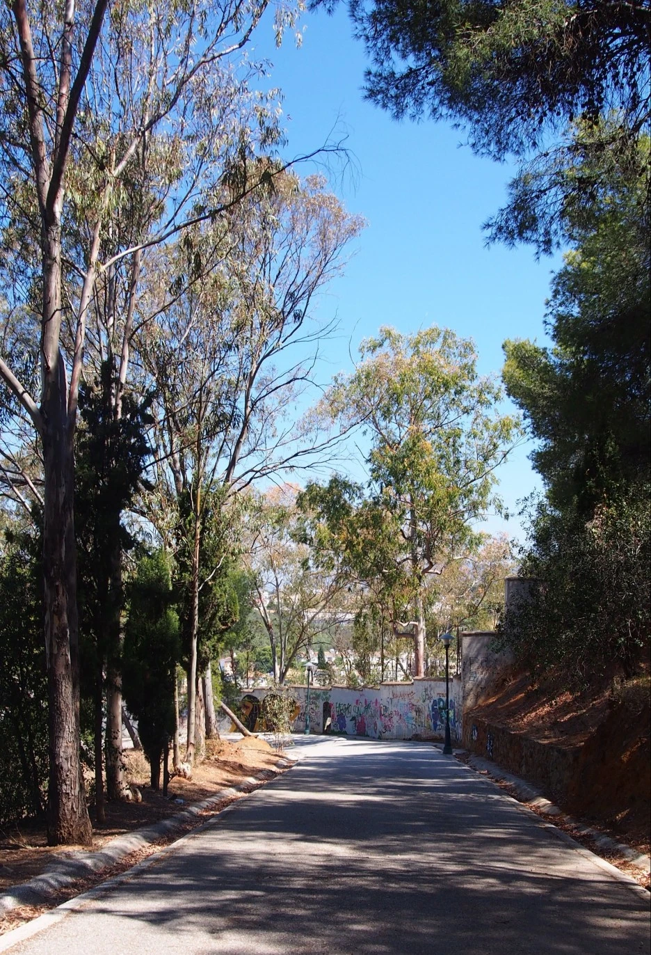 SE-a6d7f29b-2961-40c7-a43f-ca25dbdb6bf4.jpg?type=w1