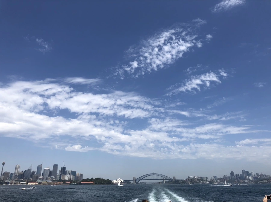 IMG_3969.jpg?type=w1