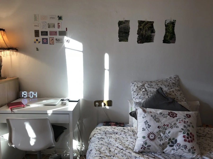 IMG_4516.jpg?type=w1