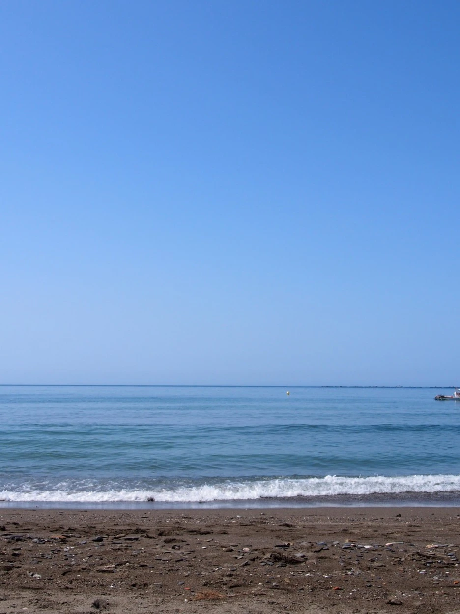 SE-7b91fb00-3ee6-43a5-ad49-4087a35aa81d.jpg?type=w1