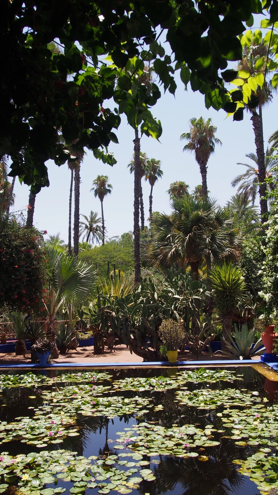 P7222512.jpeg?type=w1