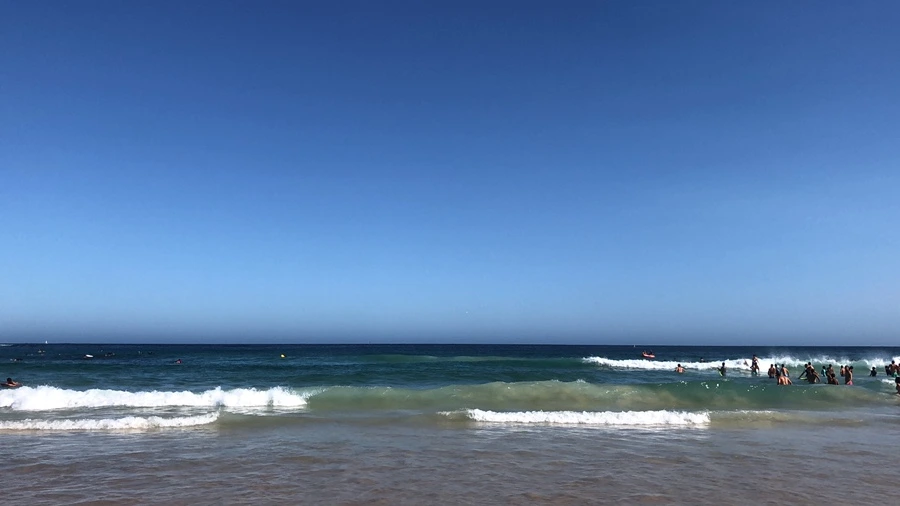 IMG_3450.jpeg?type=w1