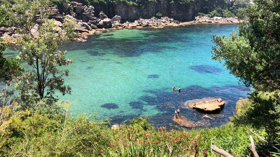 IMG_2505.jpeg?type=w1