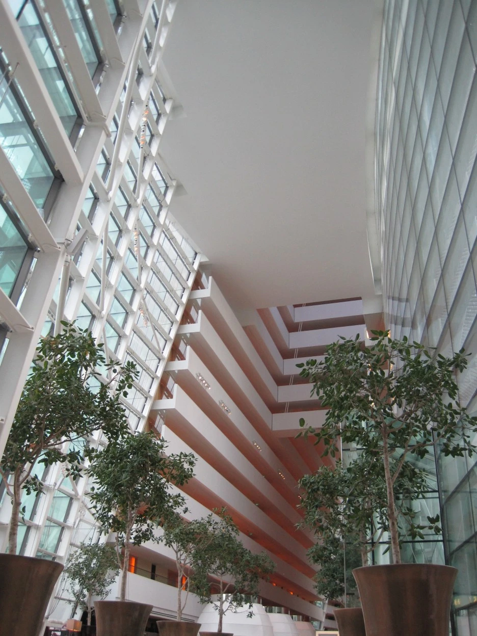 IMG_0465.JPG?type=w1