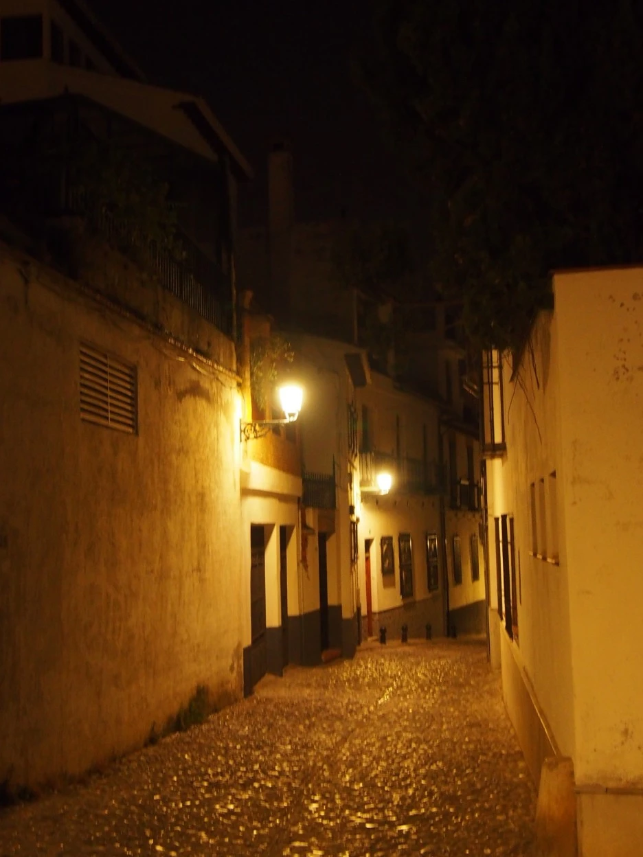 SE-9c12fc2e-c3e9-40e2-a55d-85dbf3617ec9.jpg?type=w1