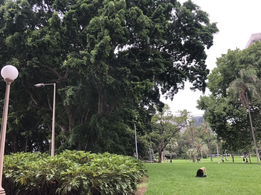 IMG_2706.jpg?type=w1