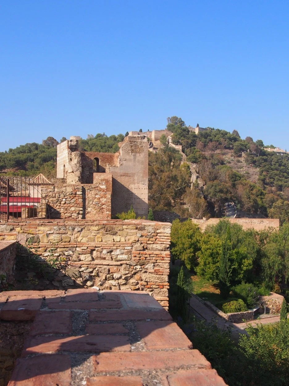 SE-a7788e52-1531-4a5d-a633-131ded7d812b.jpg?type=w1