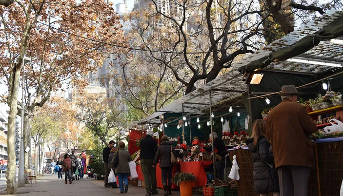 dsc_0479_place-full.jpg?type=w1