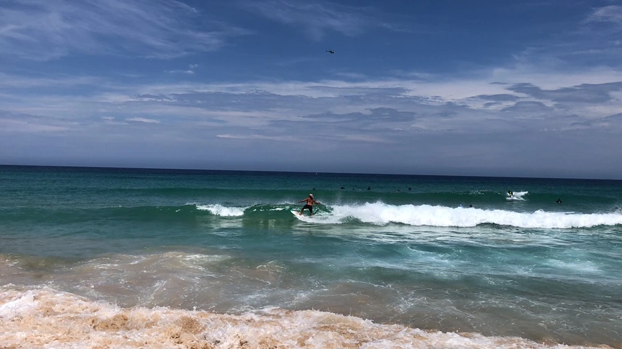 IMG_2002.jpeg?type=w1