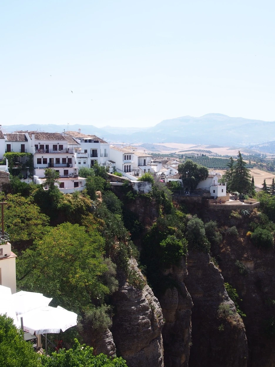 SE-0bd3c9fe-c657-4d78-8e7c-158fc75c28c4.jpg?type=w1