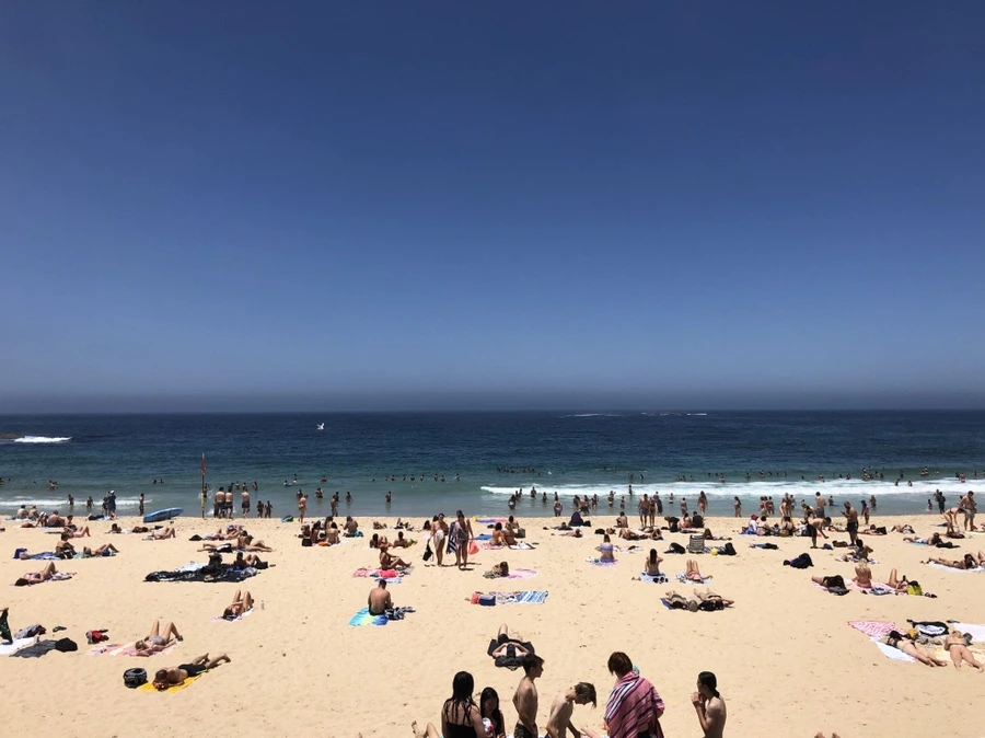 IMG_2371.jpg?type=w1