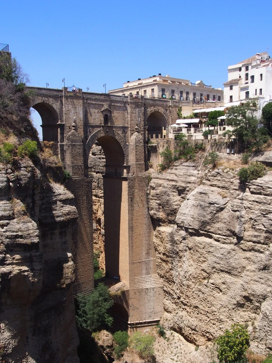 SE-2155d331-1060-40a1-8dcf-c81d3dc02abb.jpg?type=w1