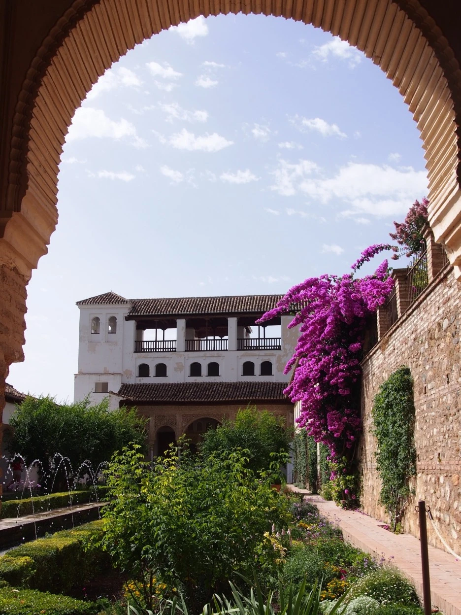 SE-03d25064-4814-4f48-bbac-f753bf494ea4.jpg?type=w1