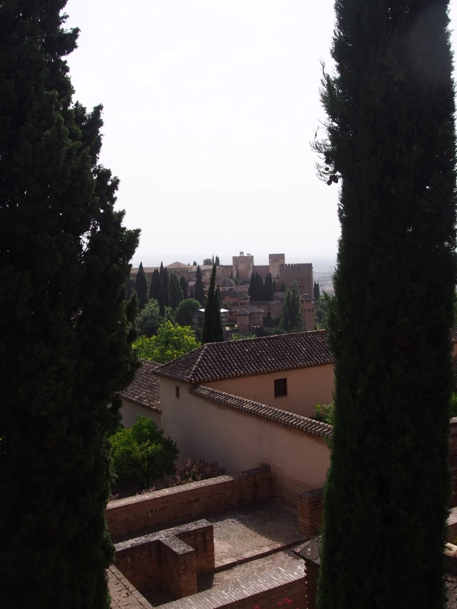 SE-15c88868-00db-4c5d-8bfd-4d554edc6d90.jpg?type=w1