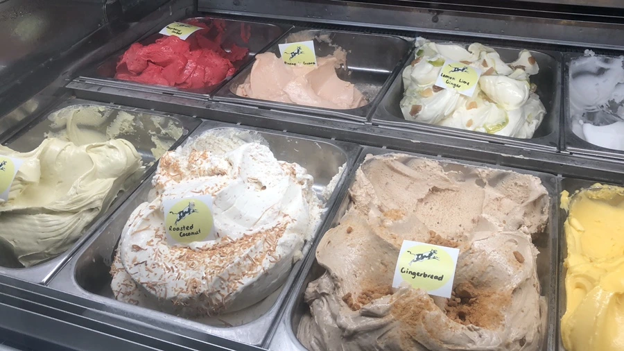 IMG_1380.jpeg?type=w1