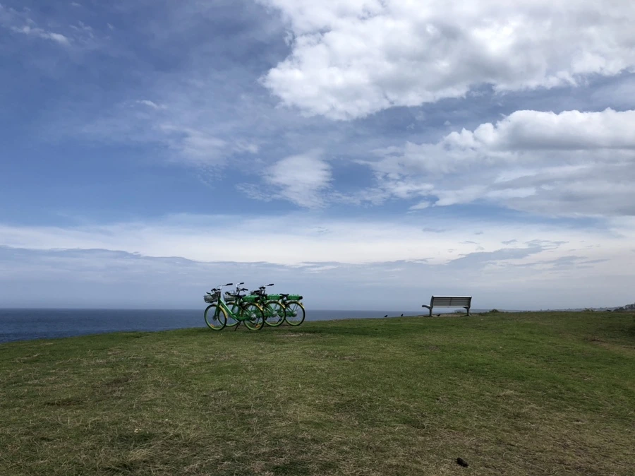 IMG_2115.jpg?type=w1