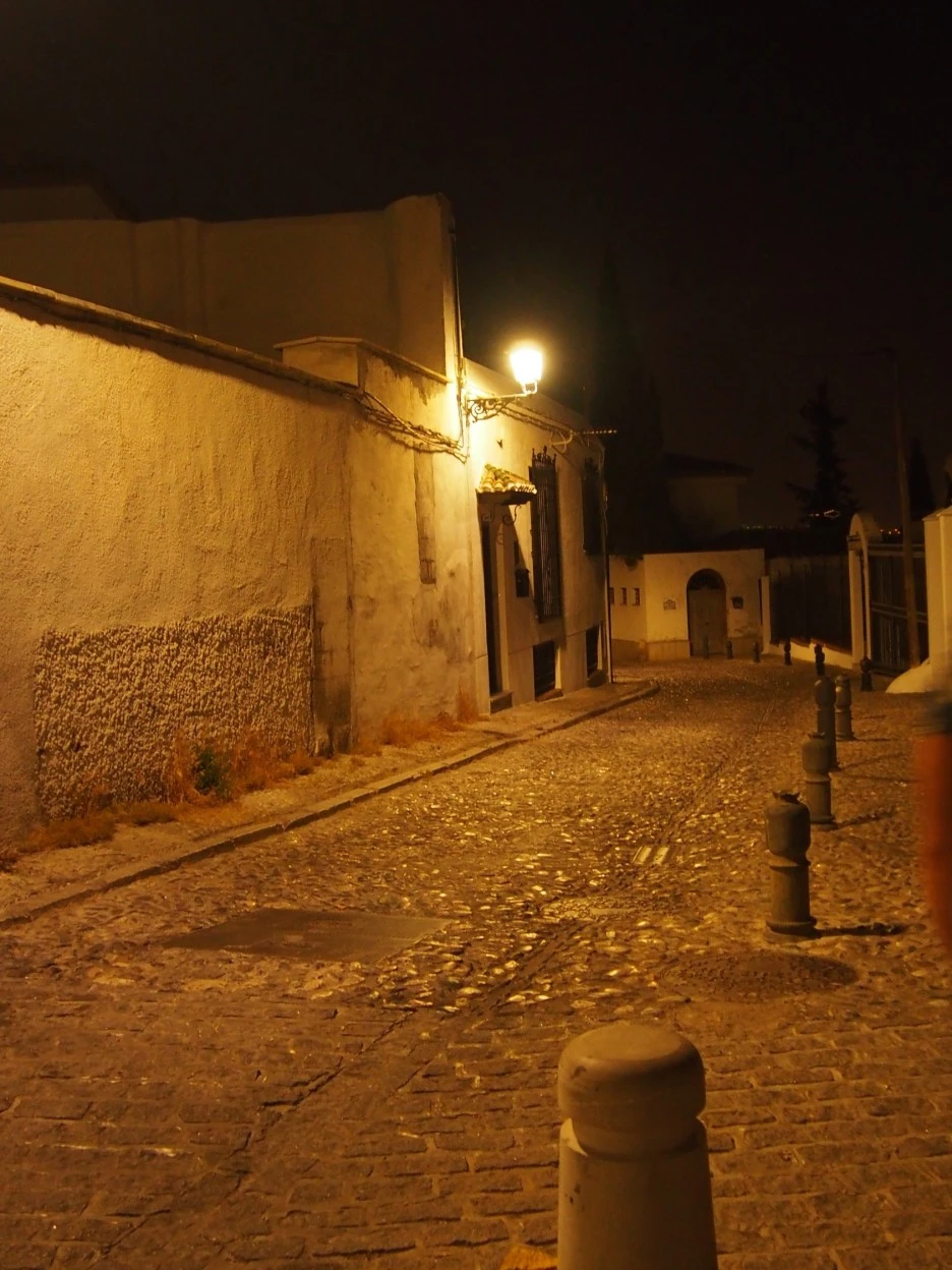 SE-16ceba2e-e28d-432c-999c-4b73533cea7e.jpg?type=w1