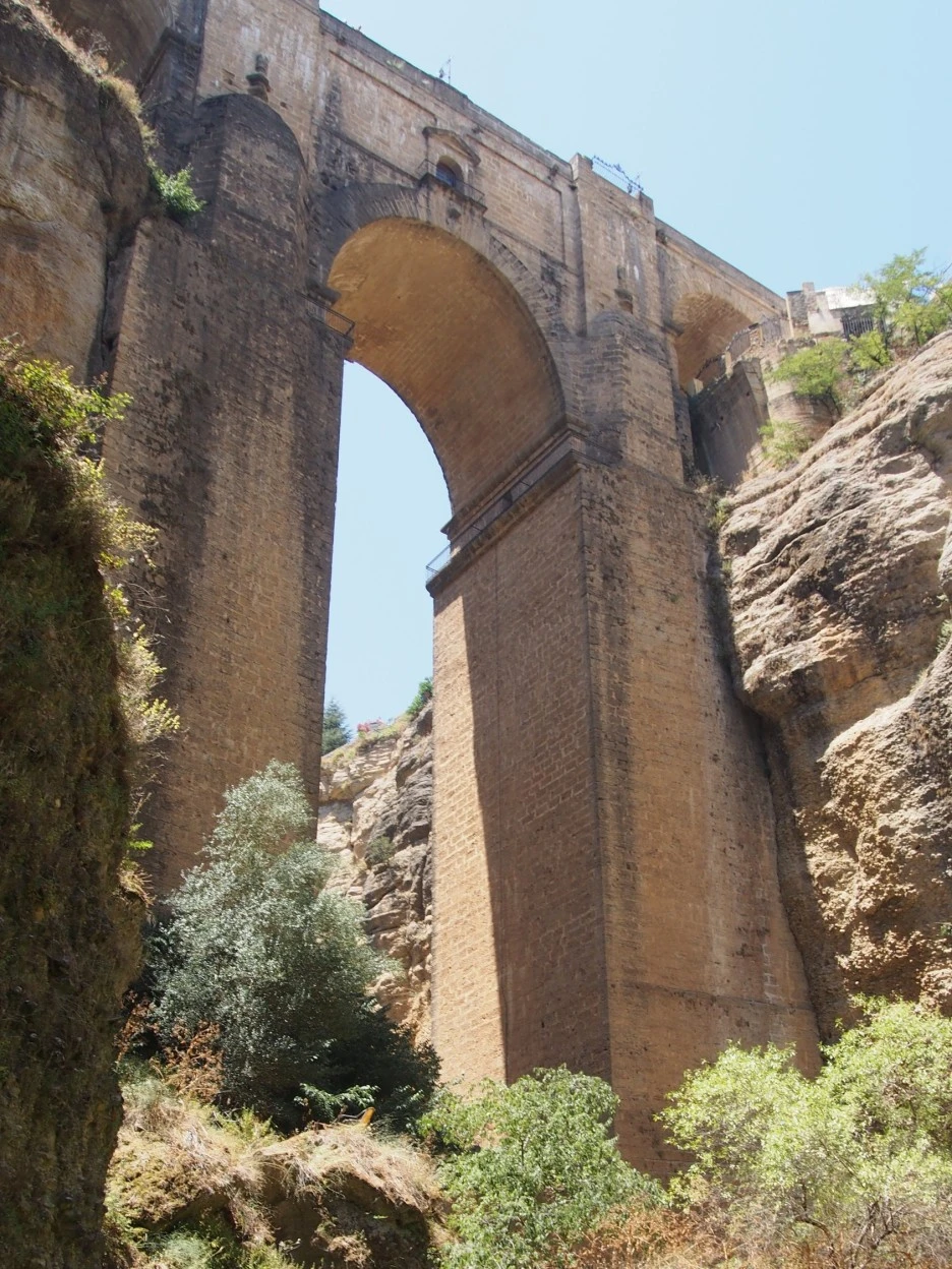 SE-c49b2df2-cf40-4afb-ae33-a17949620054.jpg?type=w1