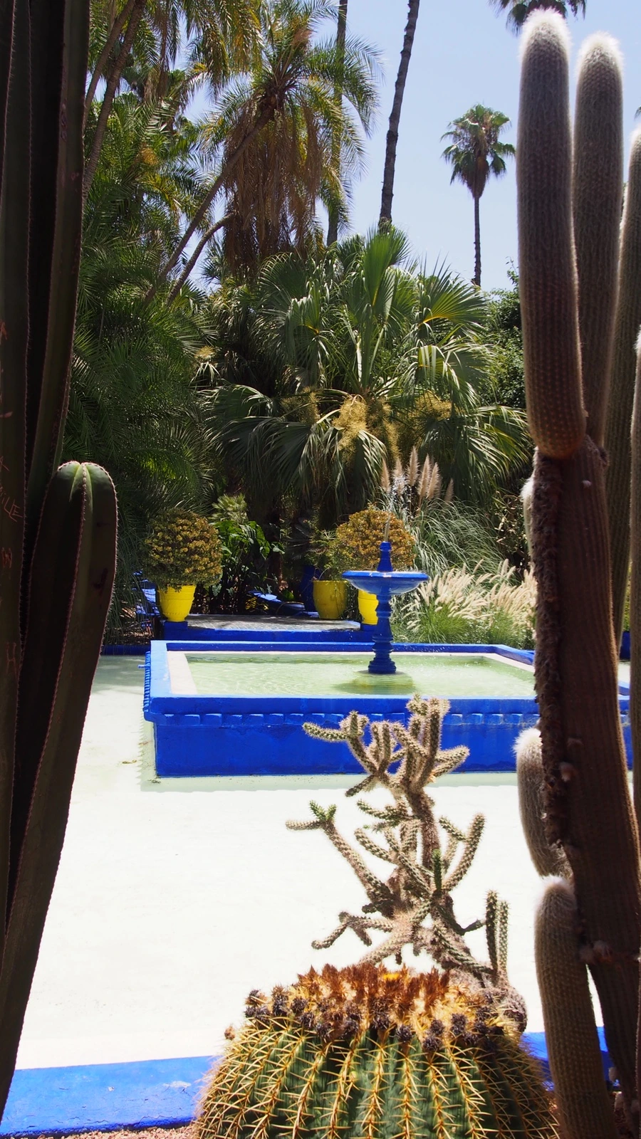 P7222530.jpeg?type=w1