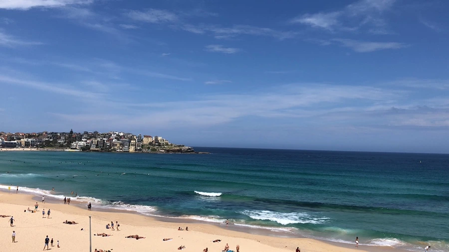 IMG_2041.jpeg?type=w1