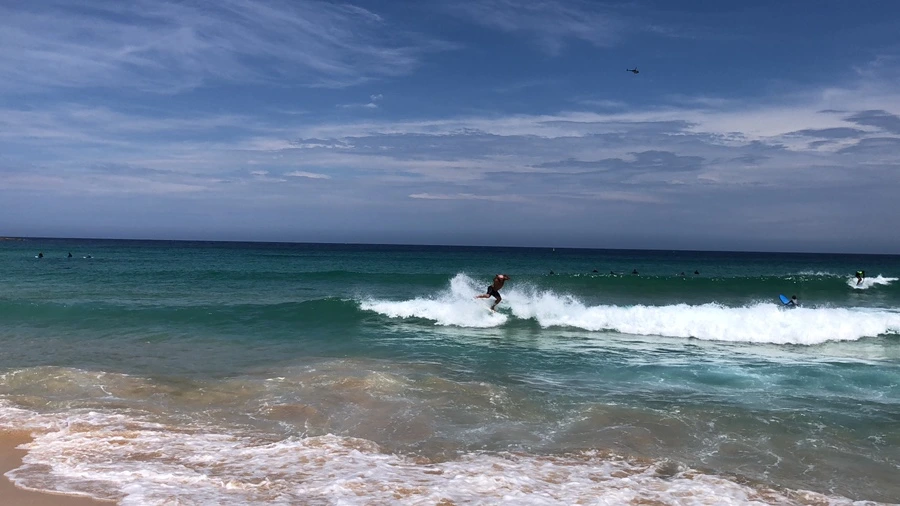 IMG_2004.jpeg?type=w1