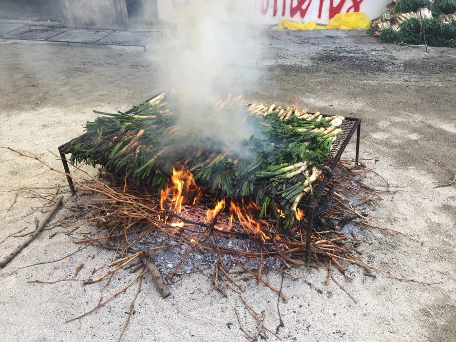 IMG_5643.JPG?type=w1