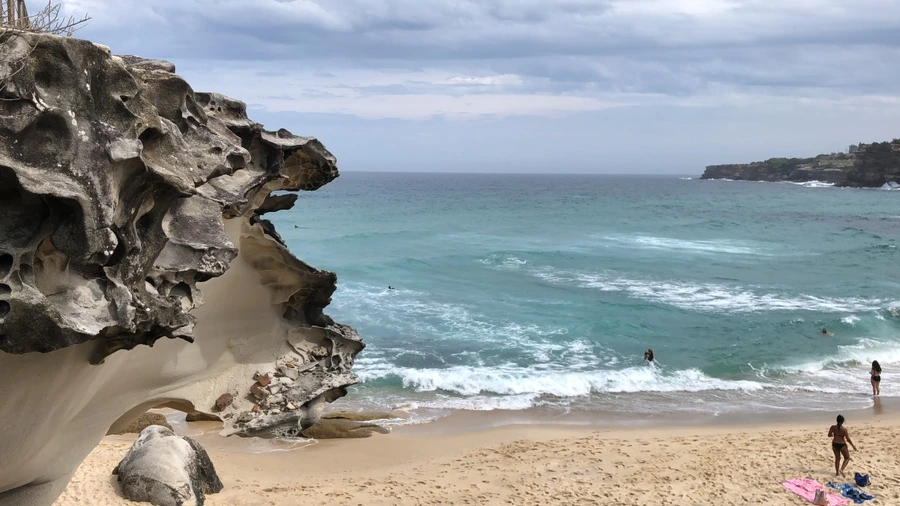 IMG_2225.JPG?type=w1