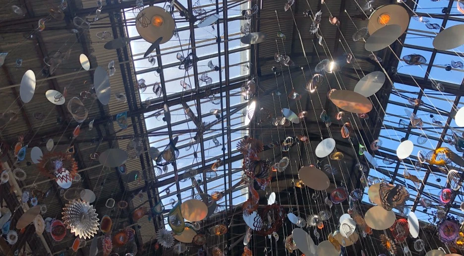 batch_IMG_8307.jpg?type=w1