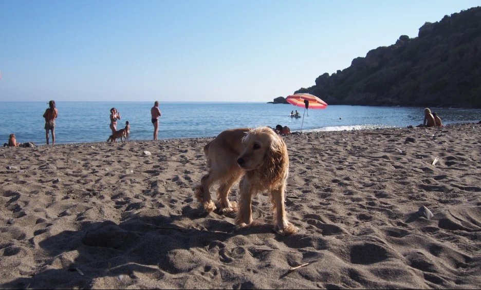 SE-9946f105-1f07-42ea-84f2-eeac4f64b123.jpg?type=w1