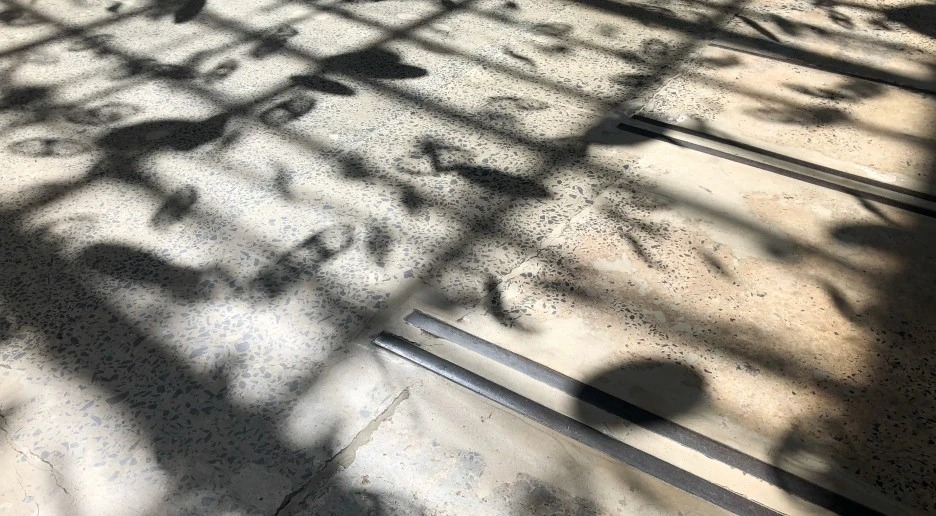 batch_IMG_4752.jpg?type=w1