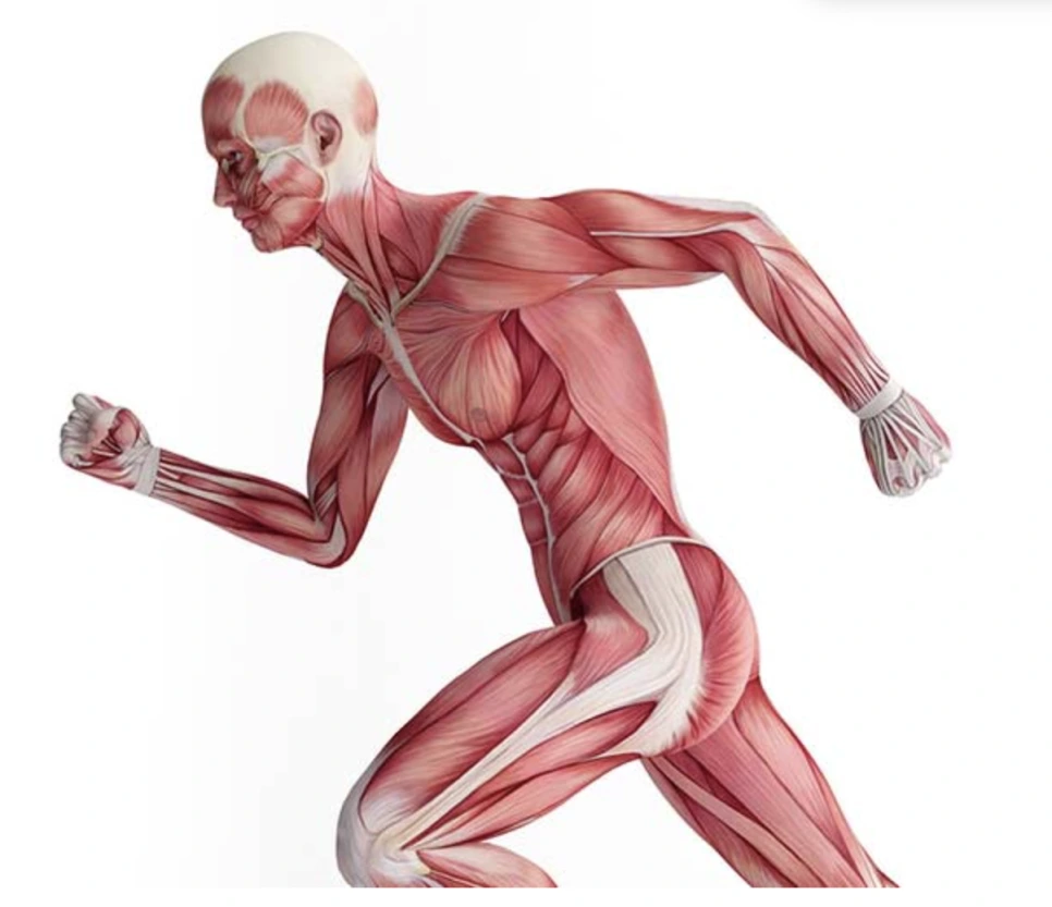 %EC%8A%A4%ED%81%AC%EB%A6%B0%EC%83%B7_2024-05-19_%EC%98%A4%ED%9B%84_7.27.44.png?type=w966