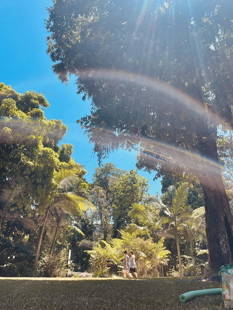 IMG_6230.JPG?type=w1