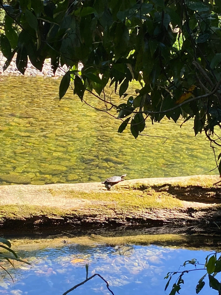 IMG_6284.JPG?type=w1