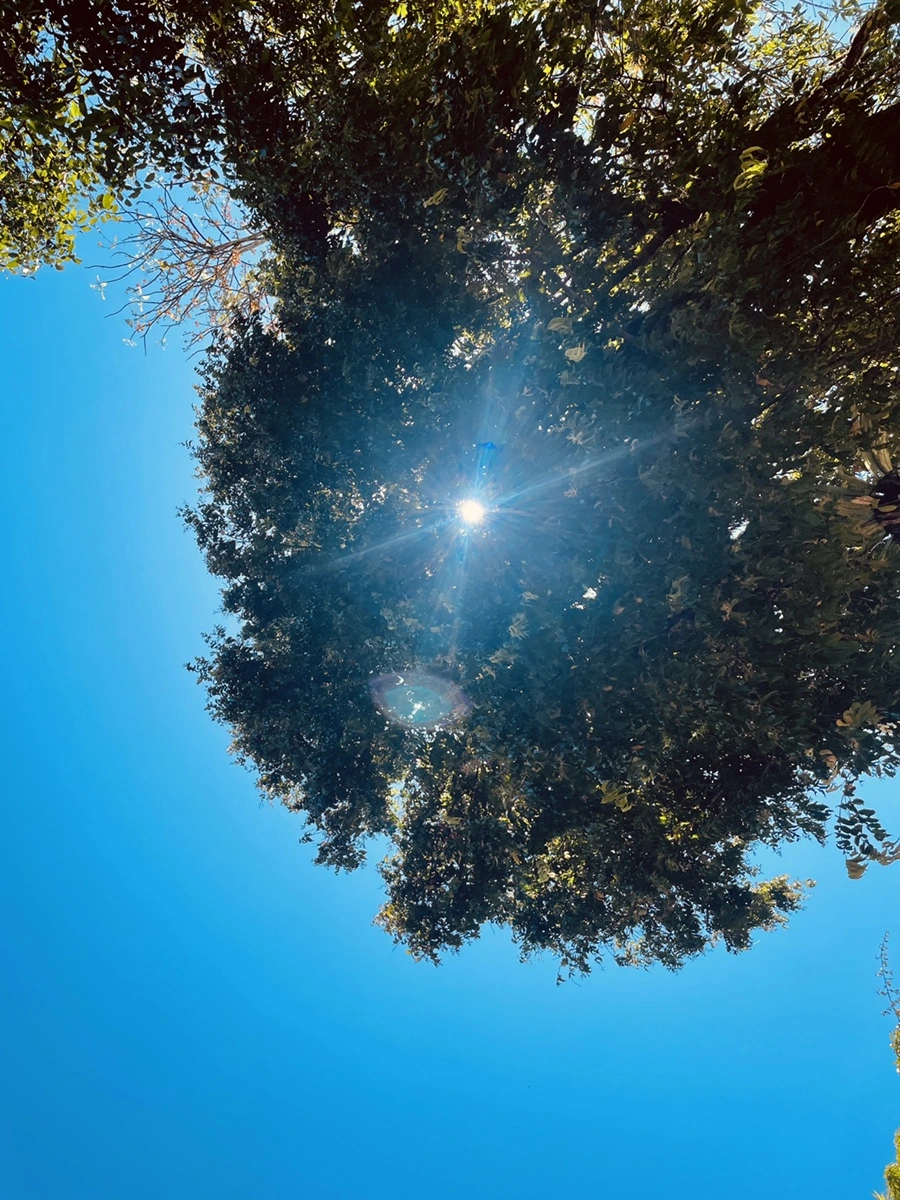 IMG_6248.JPG?type=w1