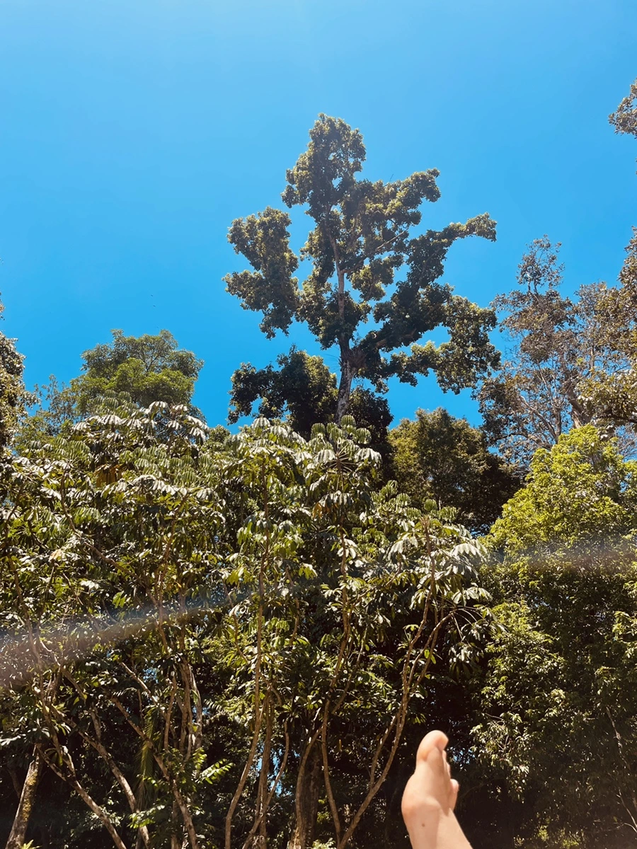 IMG_6232.JPG?type=w1