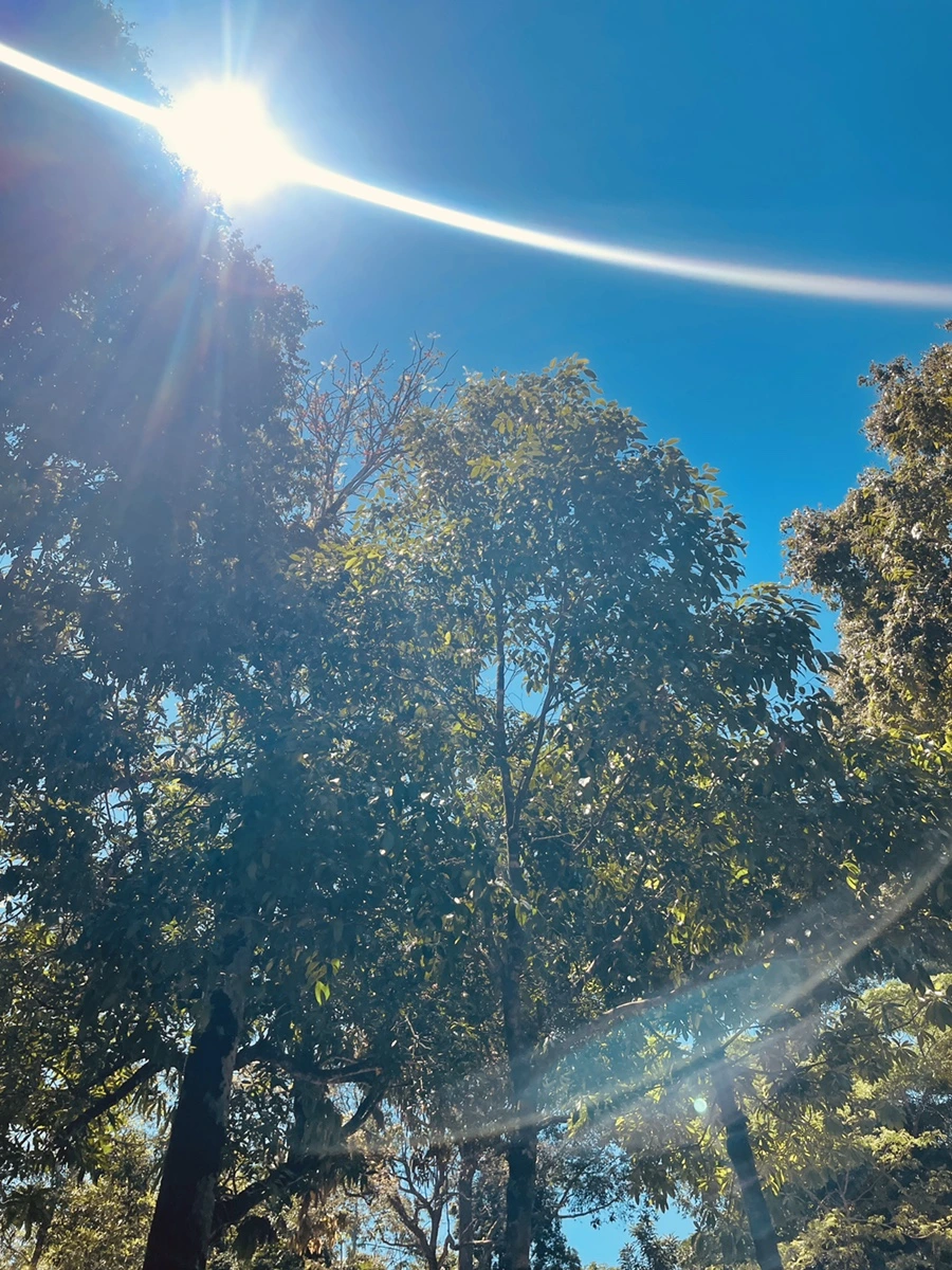 IMG_6231.JPG?type=w1