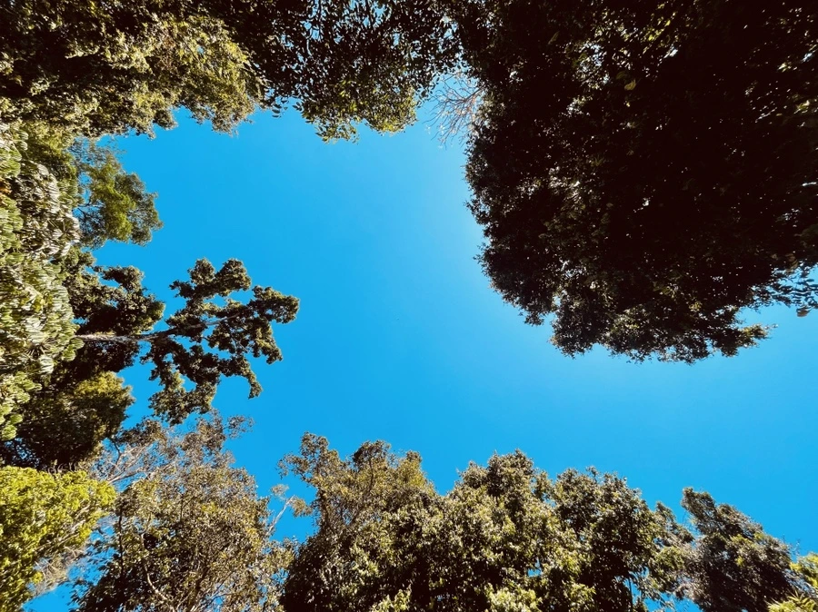 IMG_6261.JPG?type=w1